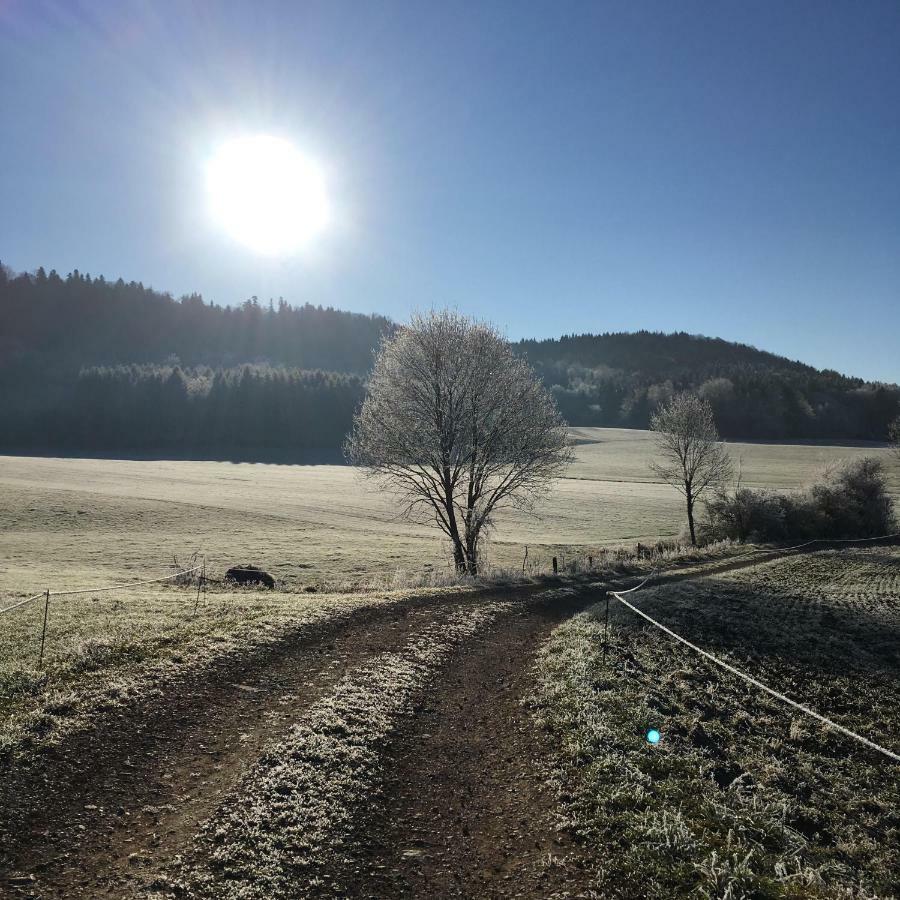 Gite La Janiat Montigny-sur-l'Ain المظهر الخارجي الصورة